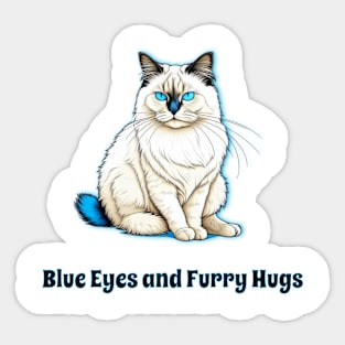 Blue Eyes And Furry Hugs Ragdoll Cat Sticker